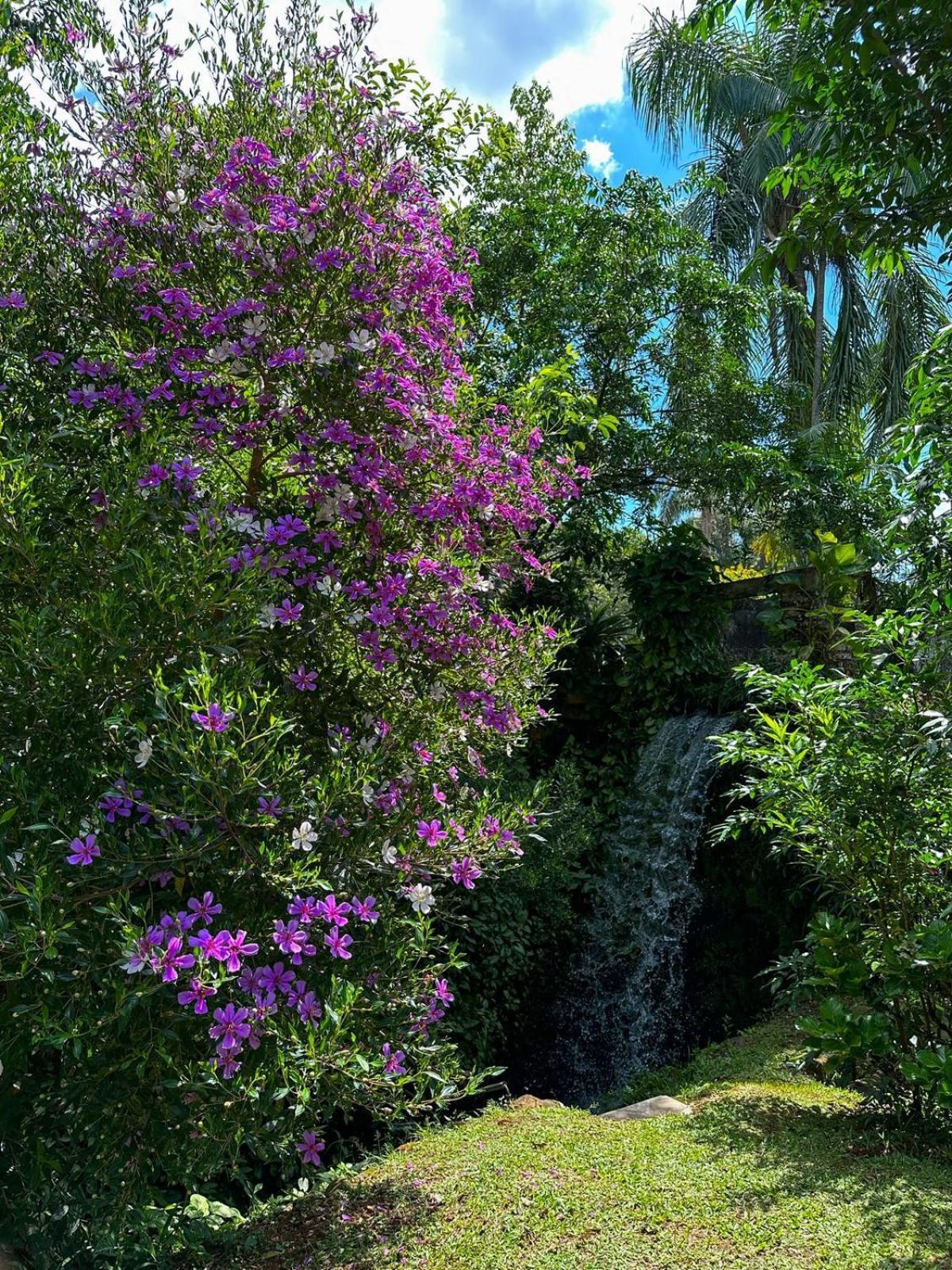 Pousada Refugio Dos Canyons Praia Grande  Ngoại thất bức ảnh